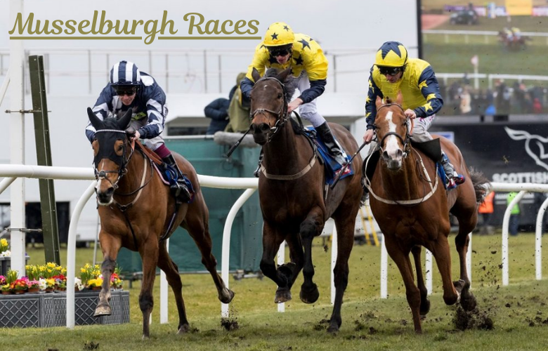 Musselburgh Races – Exciting Horse Racing Action & Latest Updates